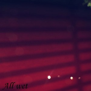 album cover image - All wet