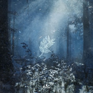 album cover image - Waterfall Eyes