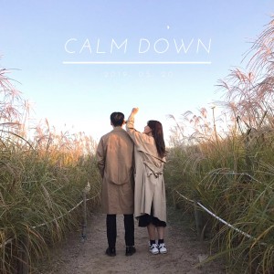 album cover image - Calm Down