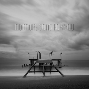 album cover image - No More Song for You