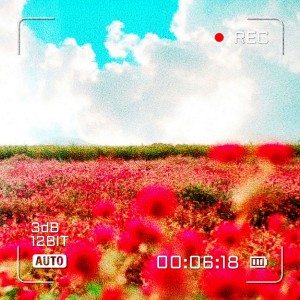 album cover image - 꽃다발 다음엔 꽃밭