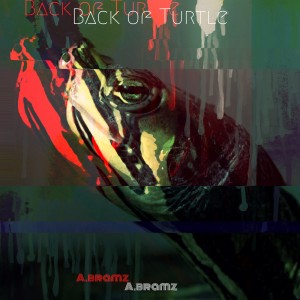 album cover image - Back of Turtle