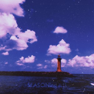 album cover image - SEASONing #11