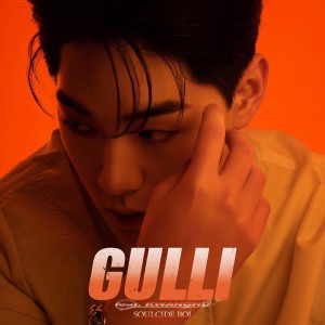 album cover image - GULLI