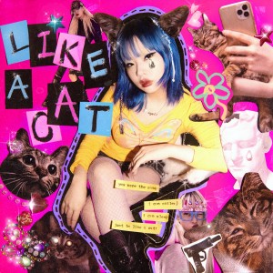 album cover image - Like A Cat