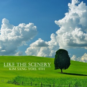 album cover image - Like the Scenery