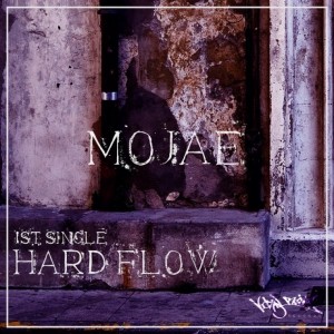 album cover image - Hard Flow