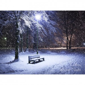 album cover image - 겨울밤