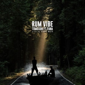album cover image - RUM VIBE