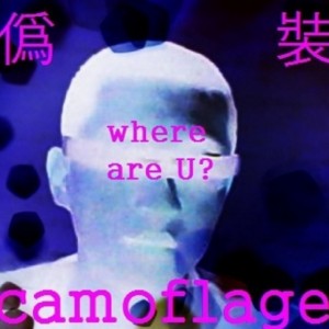 album cover image - Camouflage