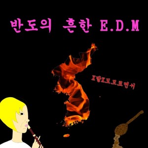 album cover image - 반도의 흔한 E.D.M
