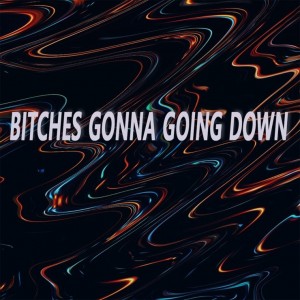 album cover image - Bitches Gonna Going Down