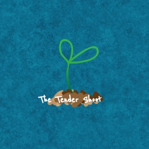 album cover image - The Tender Shoot