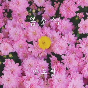 album cover image - 봄소식
