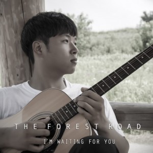 album cover image - THE FOREST ROAD