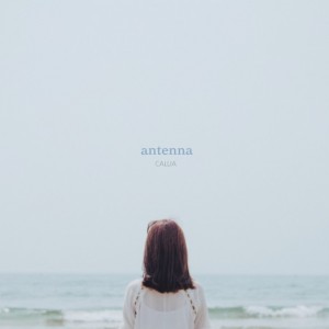 album cover image - Antenna