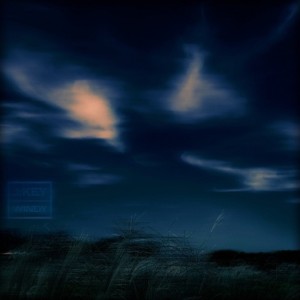 album cover image - Windy