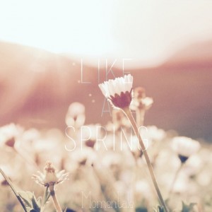 album cover image - Like A Spring