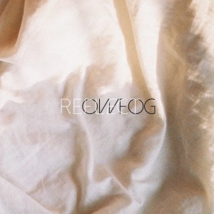 album cover image - Reflect