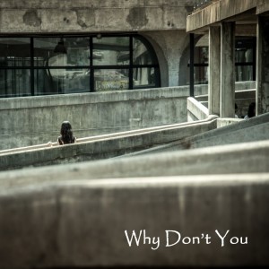album cover image - Why Don't You