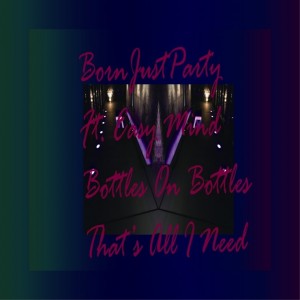 album cover image - Just Party