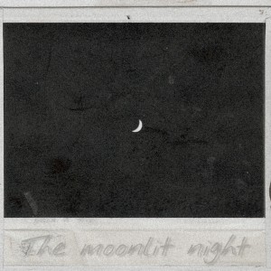album cover image - The Moonlit Night