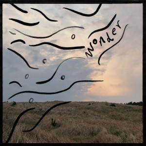 album cover image - Wonder