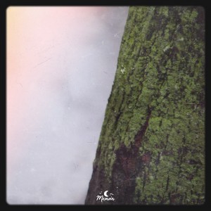 album cover image - Silhouettes