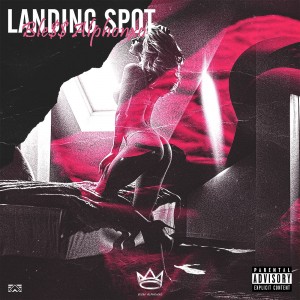 album cover image - LANDING SPOT