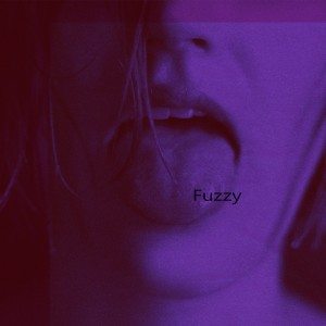 album cover image - Fuzzy