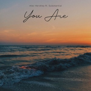 album cover image - You Are (Feat. Substantial)