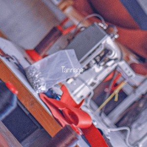 album cover image - 무두질