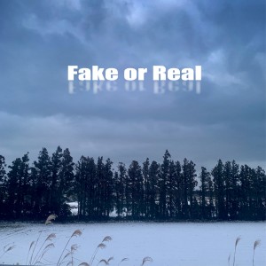album cover image - Fake or Real