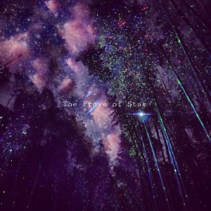 album cover image - The prove of star