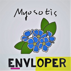 album cover image - Myosotis