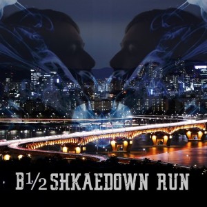 album cover image - Shakedown Run