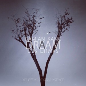 album cover image - A Dream