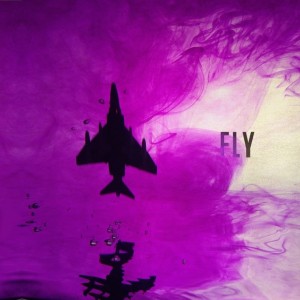 album cover image - FLY