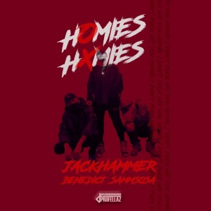 album cover image - Hxmies