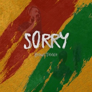 album cover image - SORRY