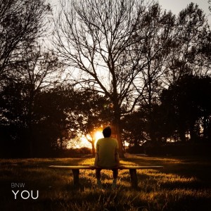 album cover image - You