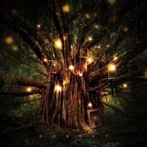 album cover image - Forest