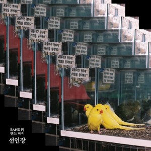 album cover image - 선인장
