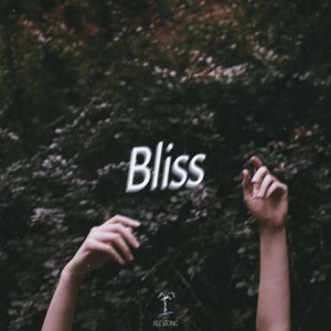 album cover image - Bliss