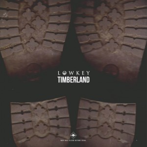 album cover image - Timberland