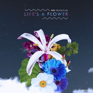 album cover image - Life's A Flower