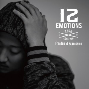 album cover image - 12 Emotions