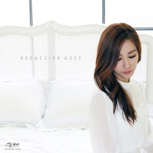 album cover image - 딴소리