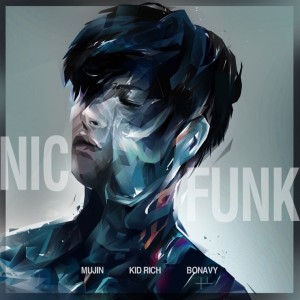 album cover image - NIC FUNK