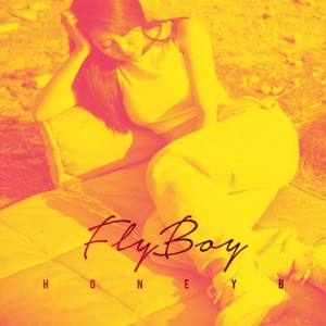 album cover image - FLY BOY